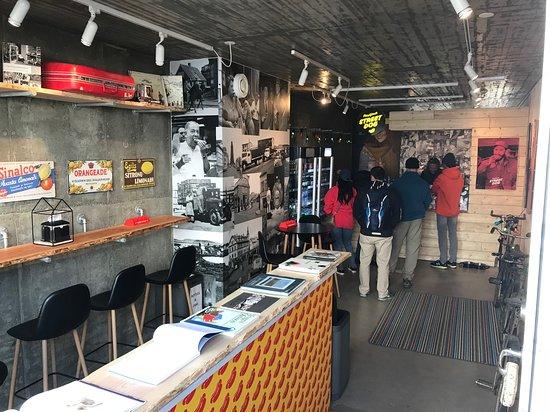 Reykjavik Street Dog